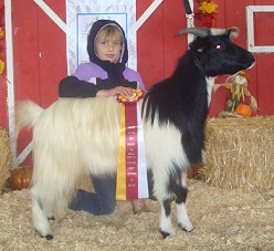 Shakey Acres Franklin